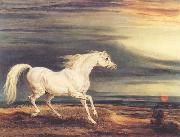 James Ward Napoleon's Horse,Marengo at Waterloo Spain oil painting artist
